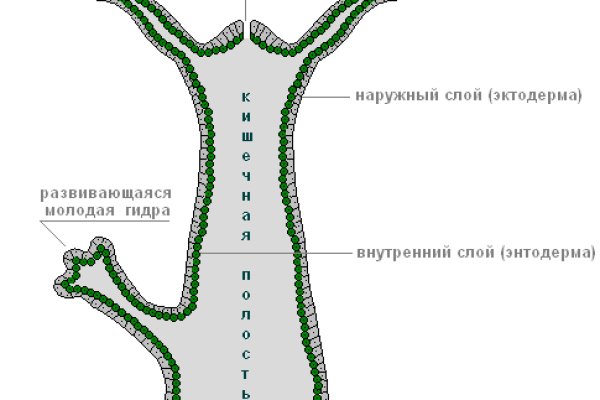 Смотреть картинки сайт мега